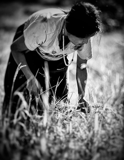 IMG_6206