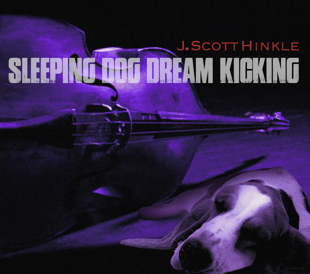 Sleeping Dog Dream Kicking
